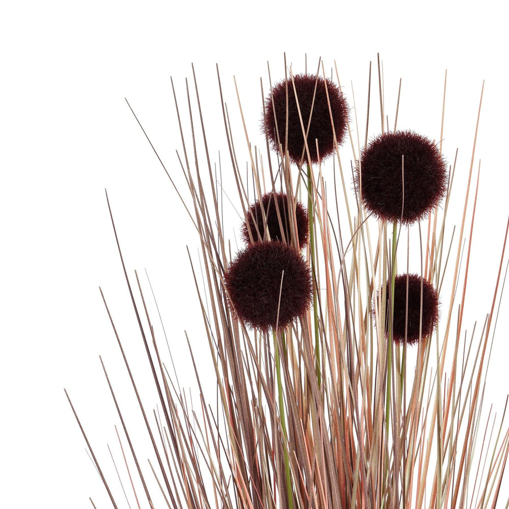 Burgundy Pompom Alliums In Black Pot - TidySpaces