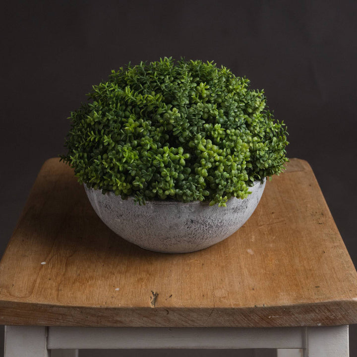 Small Hebe Globe Pot - TidySpaces