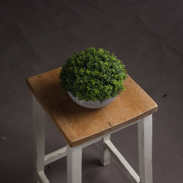 Small Hebe Globe Pot - TidySpaces