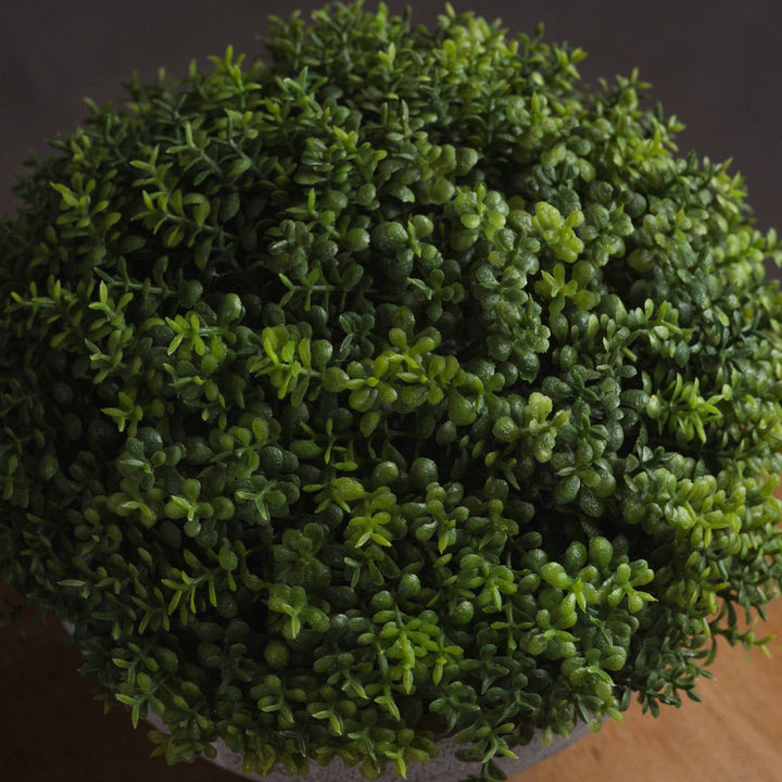 Small Hebe Globe Pot - TidySpaces