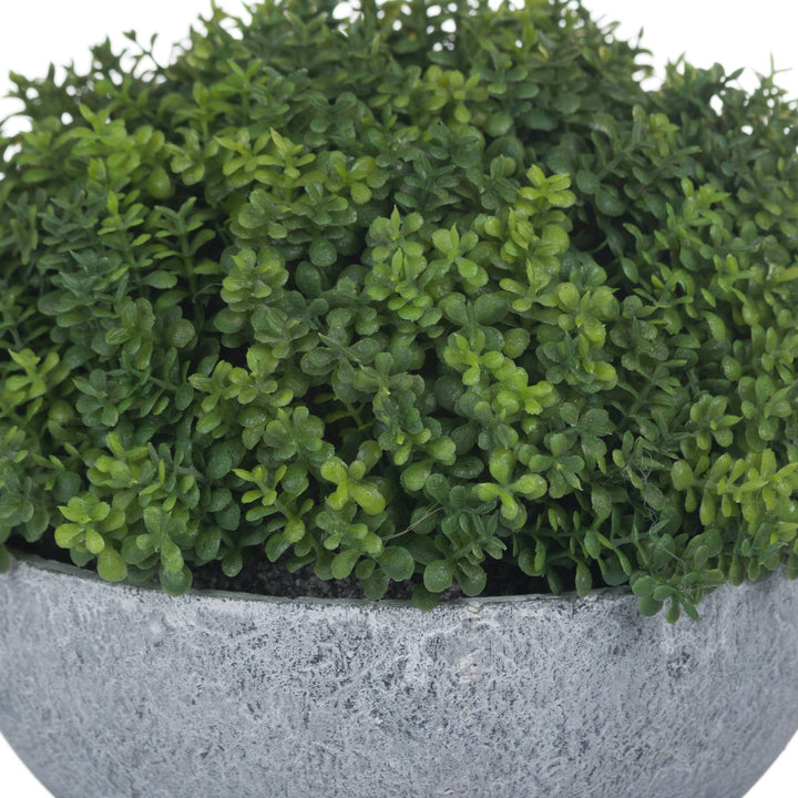 Small Hebe Globe Pot - TidySpaces