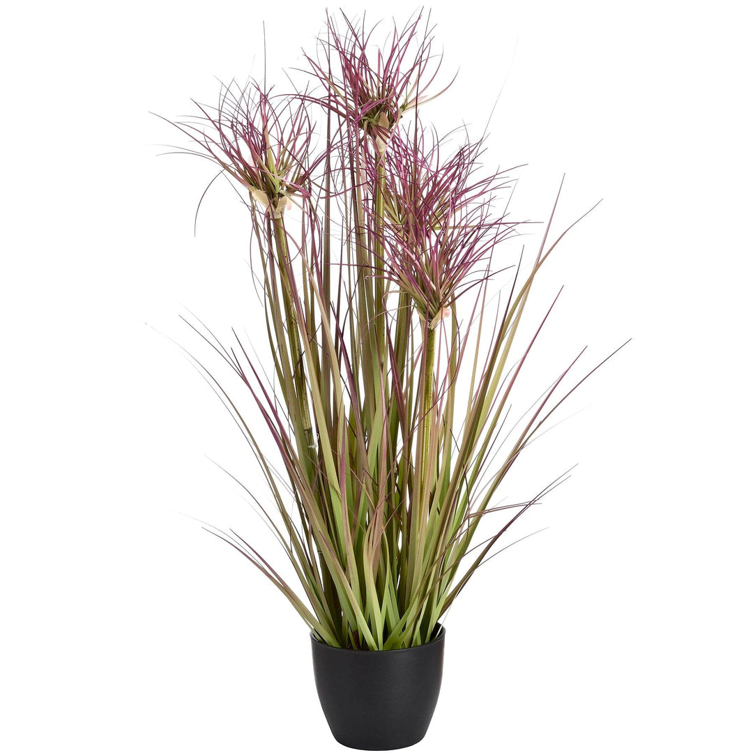 Water Bamboo Grass 24 Inch - TidySpaces