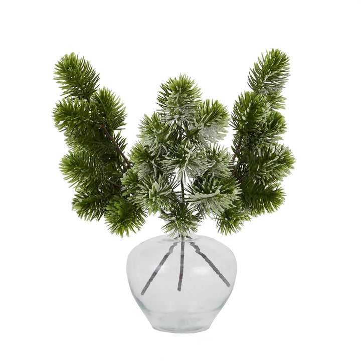 Frosted Pine Single Stem - TidySpaces