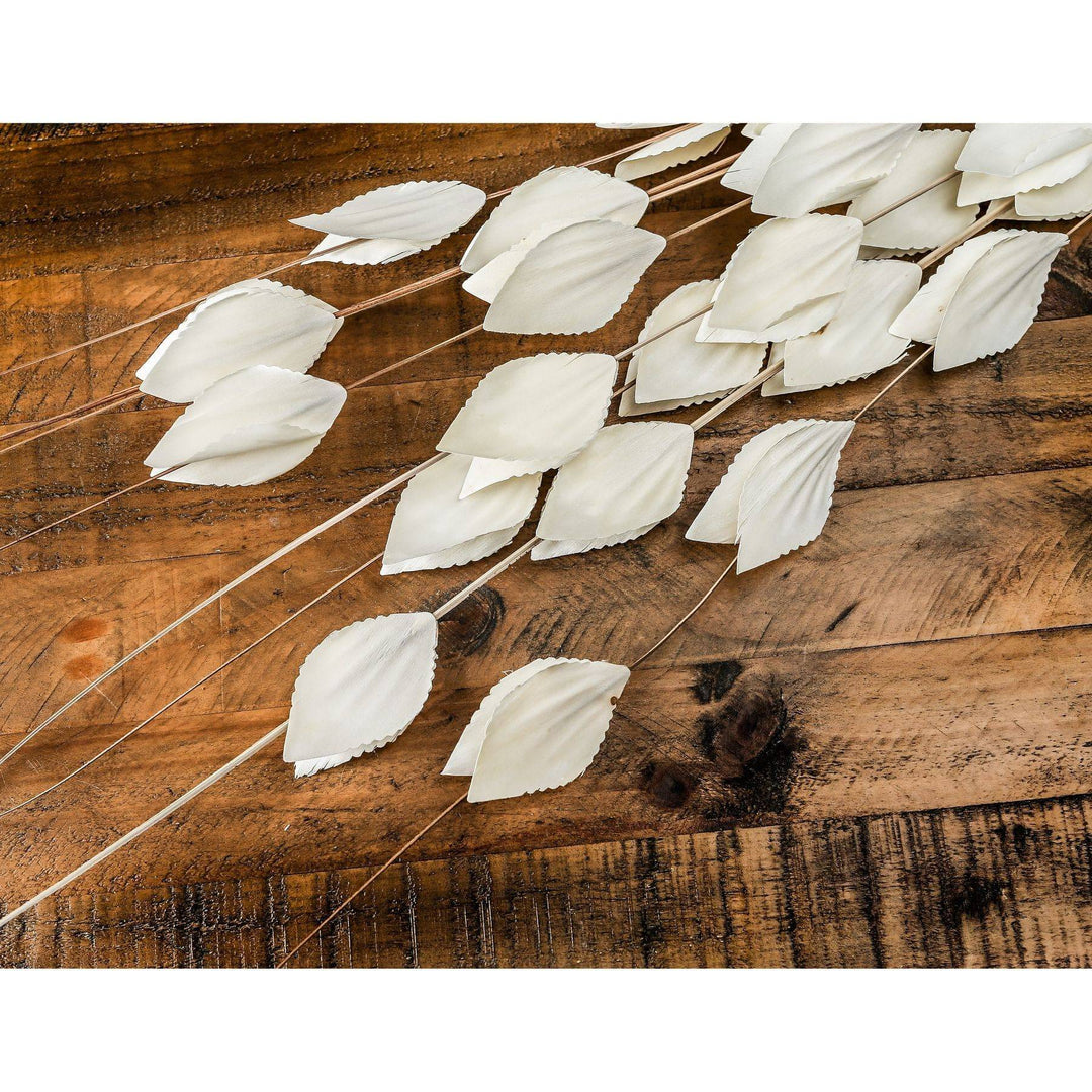 Bouquet Of Dried  Thlaspi Arvense - TidySpaces