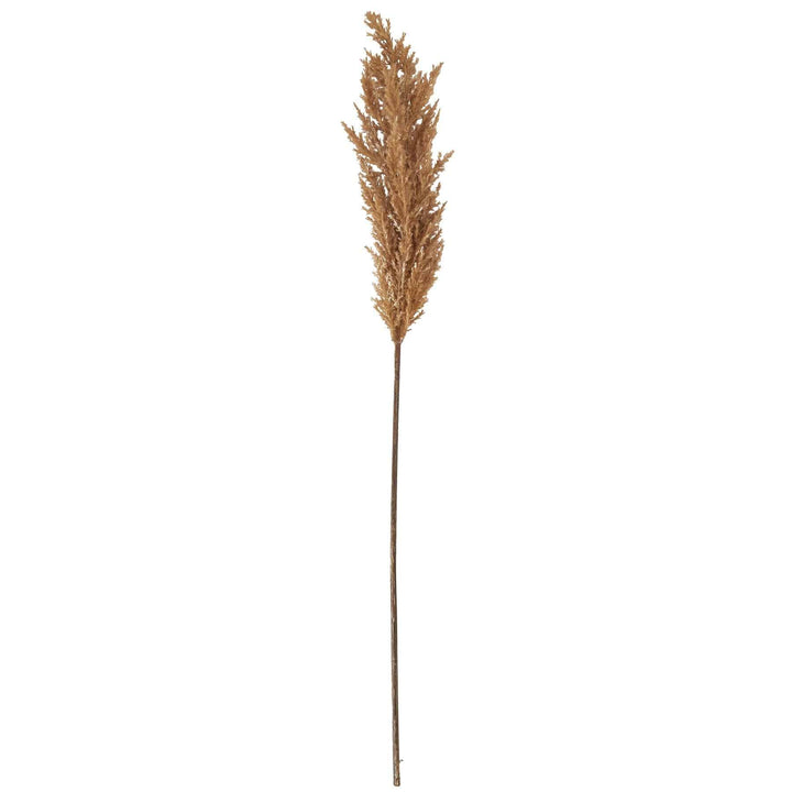 Taupe Faux Dried Pampas Grass Stem - TidySpaces