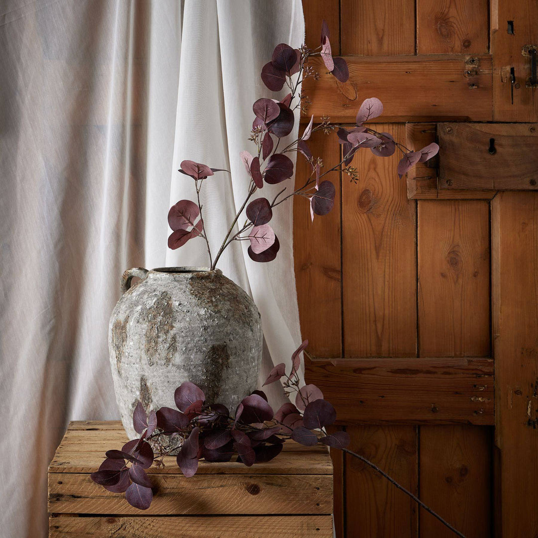 Burgundy Berried Eucalyiptus - TidySpaces