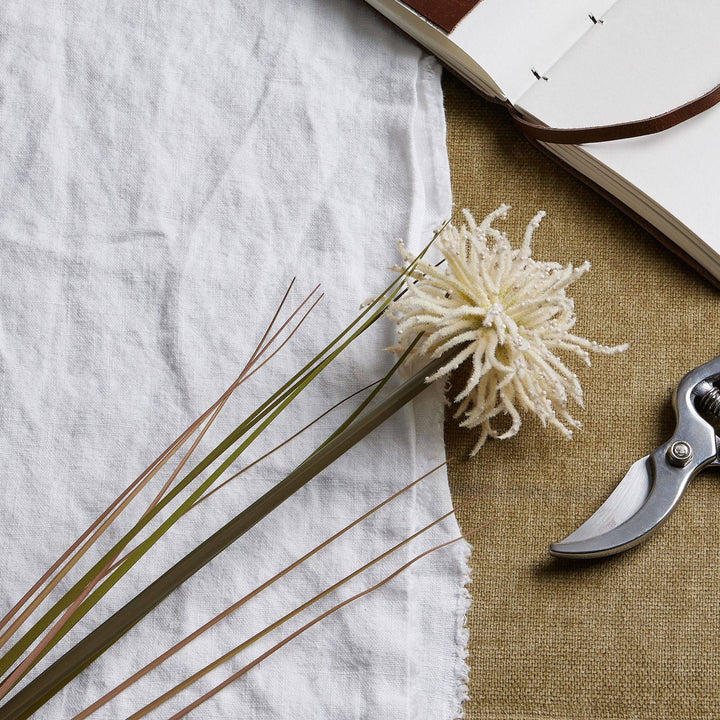 Cream Aster Spider Chrysanthemum Stem - TidySpaces