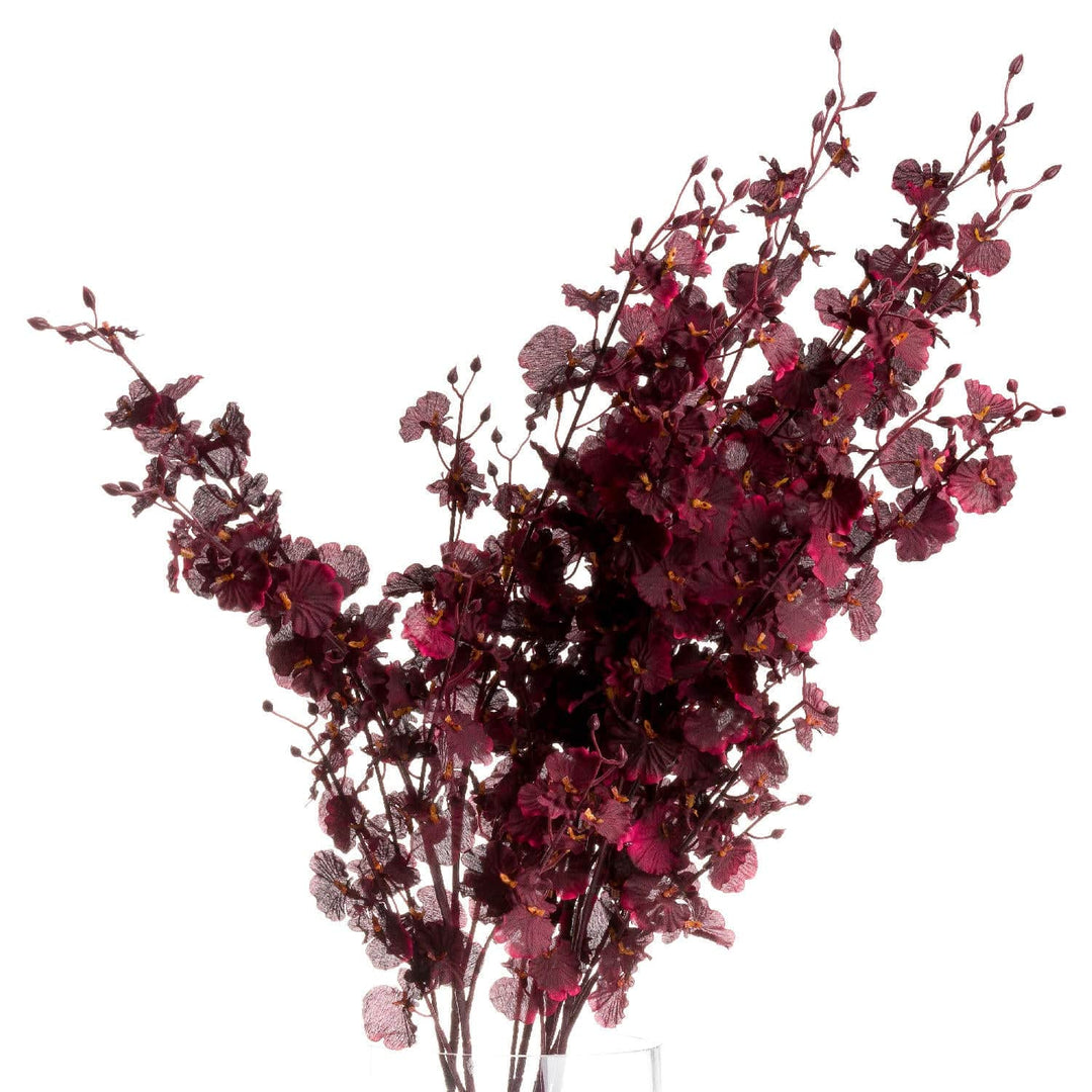 Deep Burgundy Orchid Spray - TidySpaces