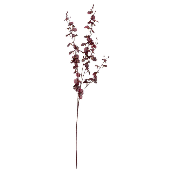 Deep Burgundy Orchid Spray - TidySpaces