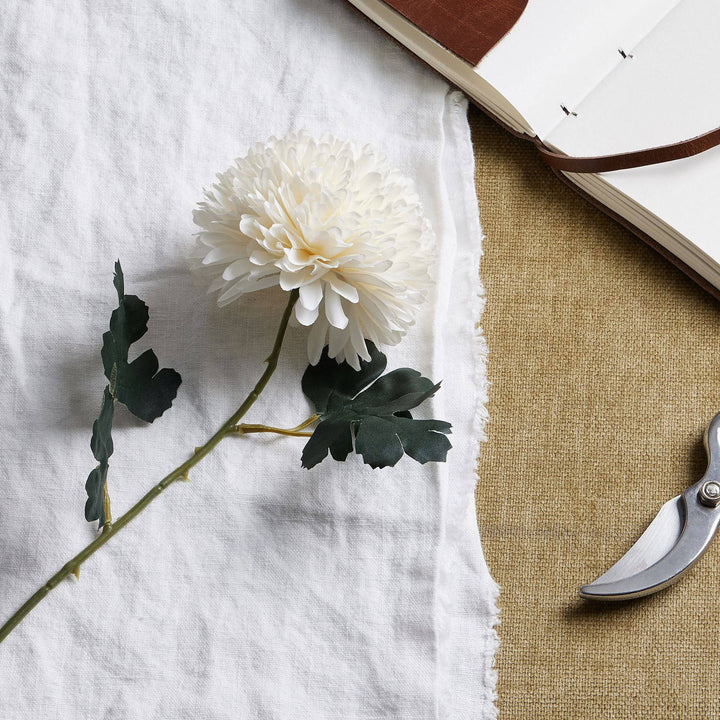 White Chrysanthemum Stem - TidySpaces