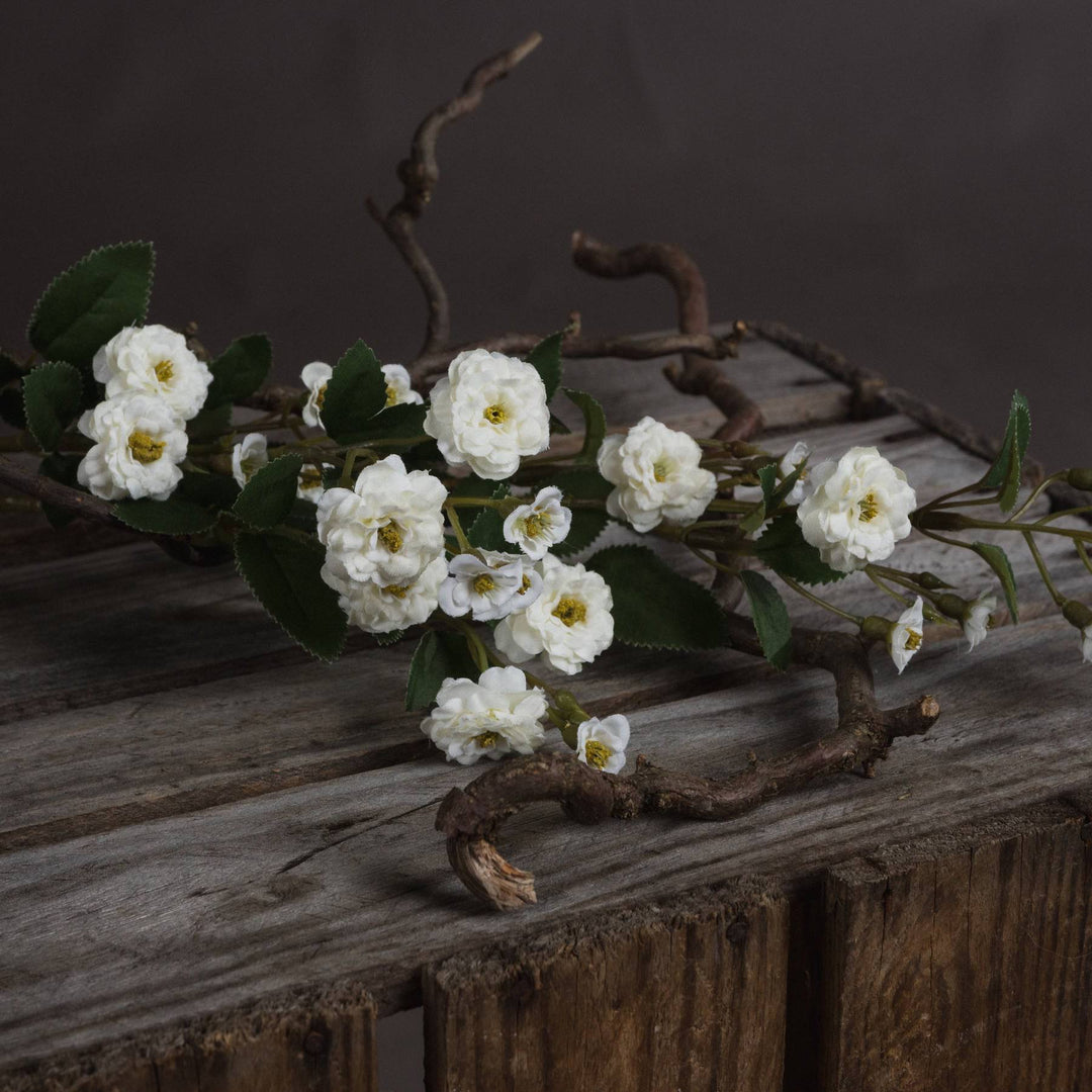 White Wild Meadow Rose - TidySpaces