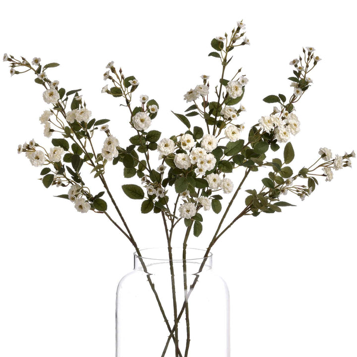 White Wild Meadow Rose - TidySpaces