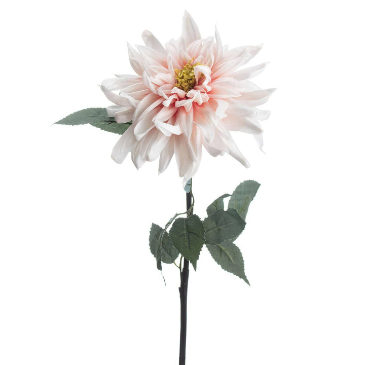 Lush Pink Dahlia - TidySpaces