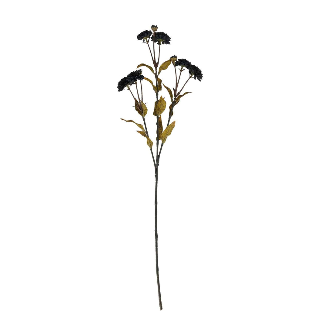 Black Chrysanthemum Stem - TidySpaces