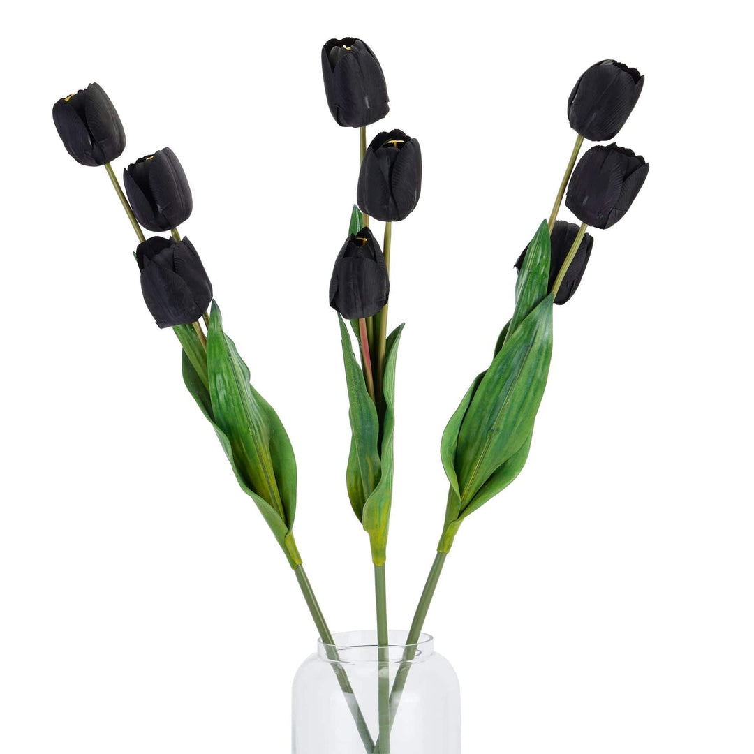 Tall Black Triple Tulip Stem - TidySpaces