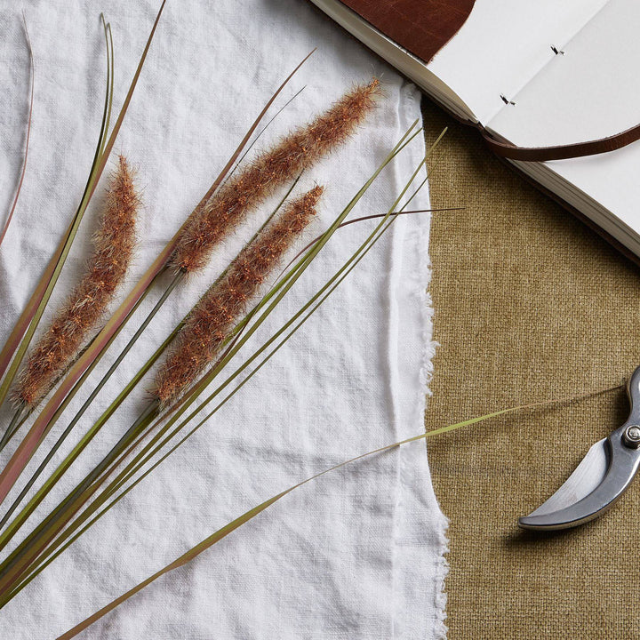 Terracotta Triple Grass Stem - TidySpaces