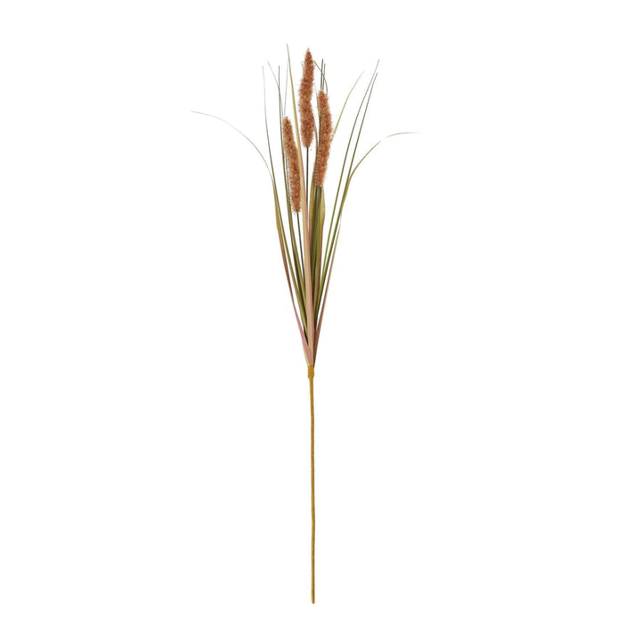 Terracotta Triple Grass Stem - TidySpaces