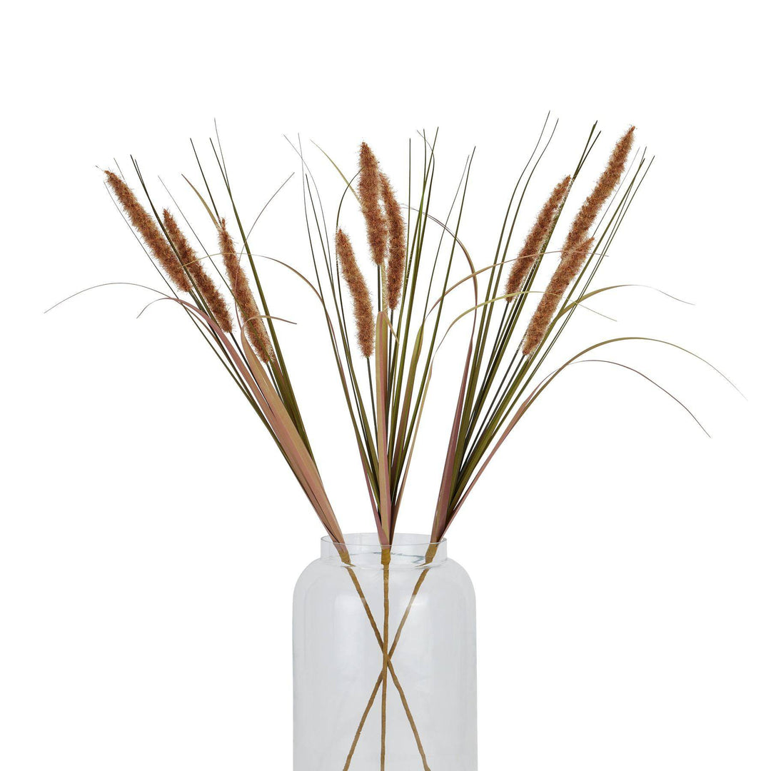 Terracotta Triple Grass Stem - TidySpaces