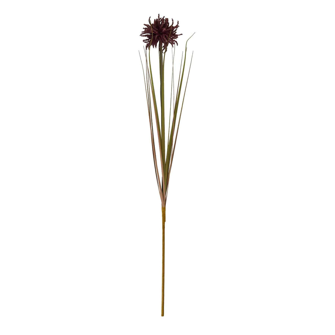 Burgundy Aster Spider Chrysanthemum Stem - TidySpaces