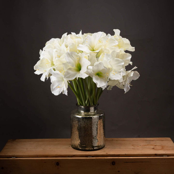 Classic White Amaryllis Flower - TidySpaces