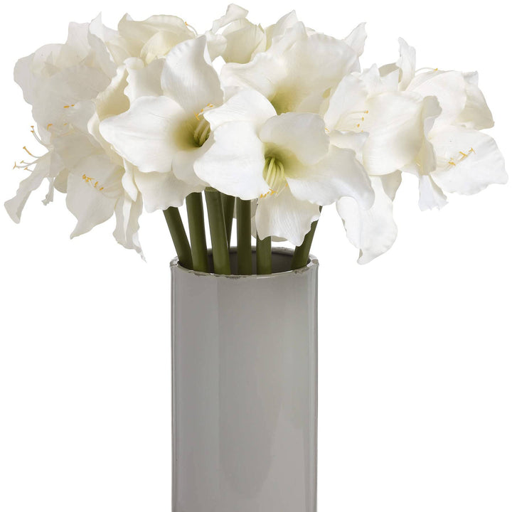 Classic White Amaryllis Flower - TidySpaces