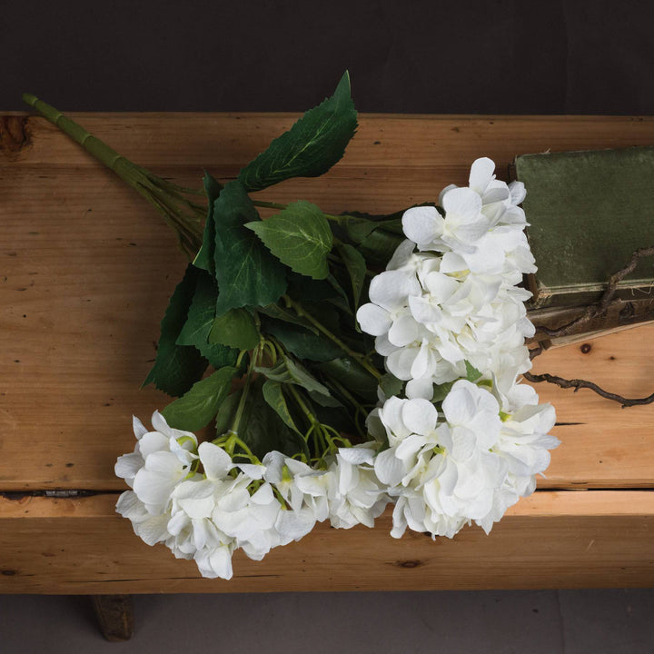 White Hydrangea Bouquet - TidySpaces