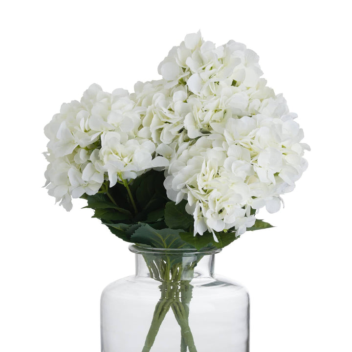 White Hydrangea Bouquet - TidySpaces