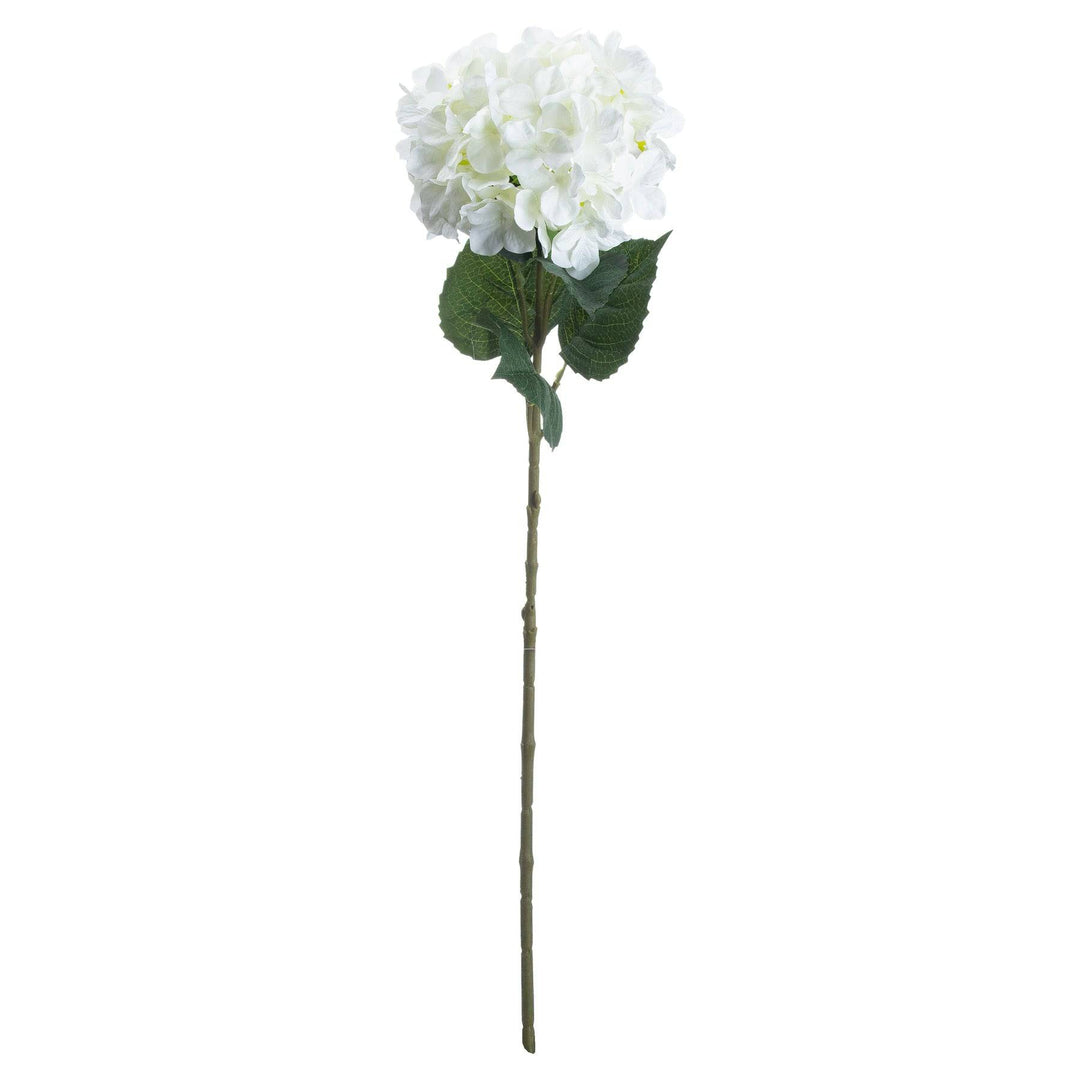 Single White Hydrangea - TidySpaces