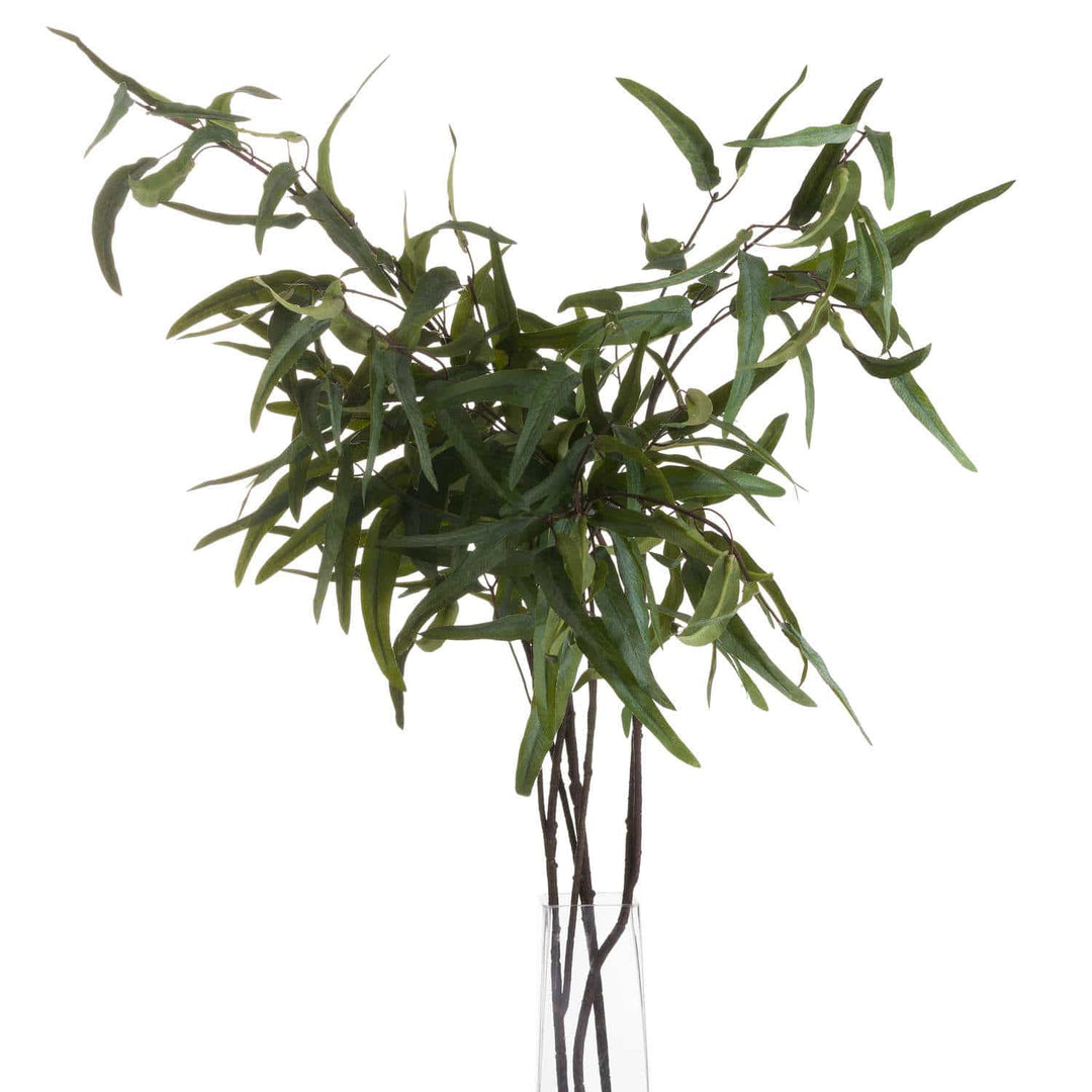 Eucalyptus Nicholii Spray - TidySpaces