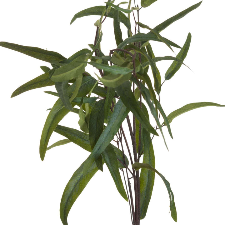 Eucalyptus Nicholii Spray - TidySpaces