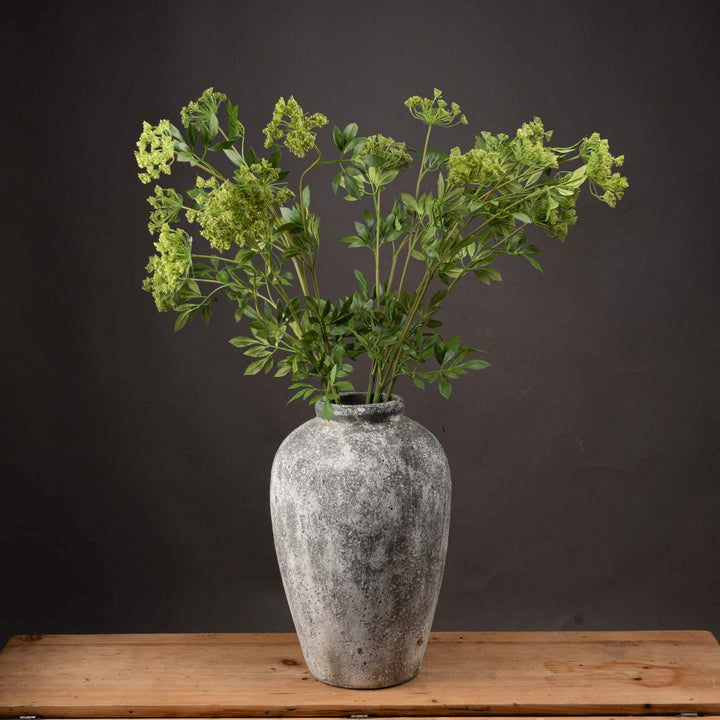 Faux Cow Parsley Ammi - TidySpaces