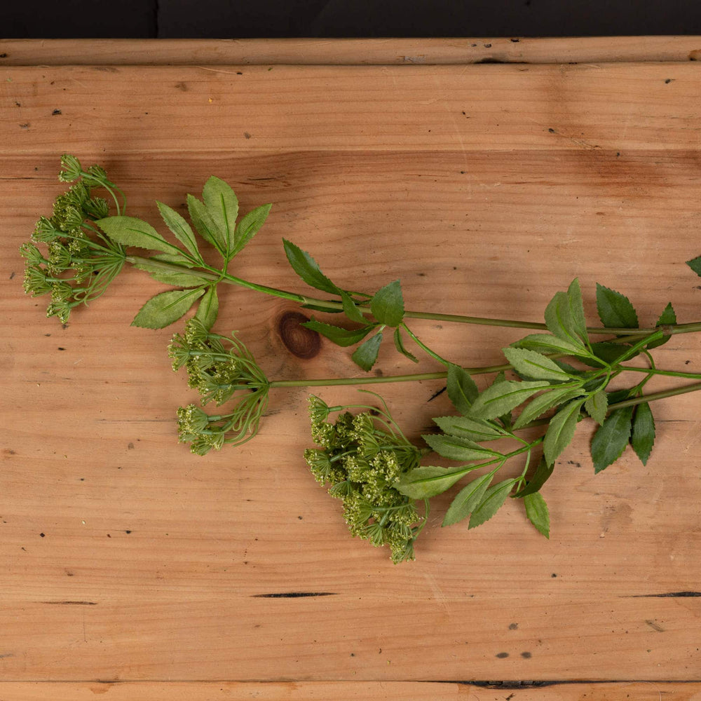 Faux Cow Parsley Ammi - TidySpaces