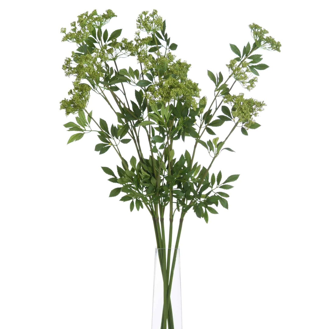 Faux Cow Parsley Ammi - TidySpaces