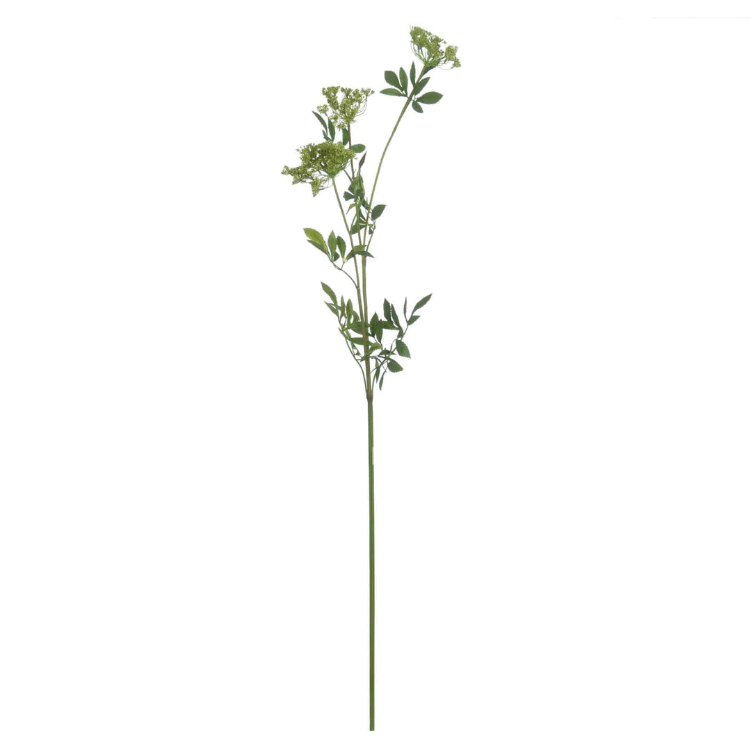 Faux Cow Parsley Ammi - TidySpaces