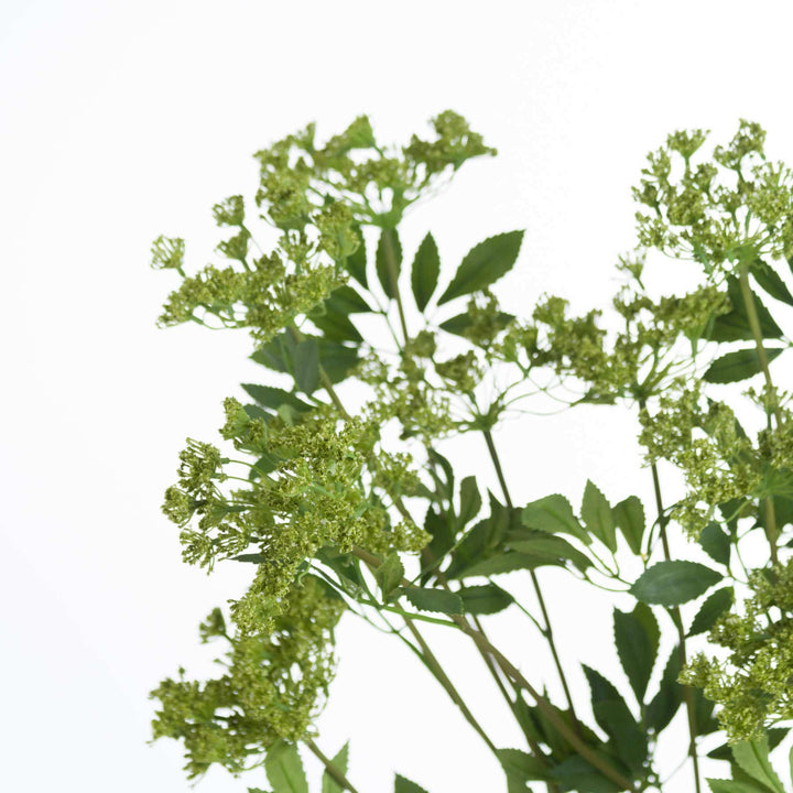 Faux Cow Parsley Ammi - TidySpaces