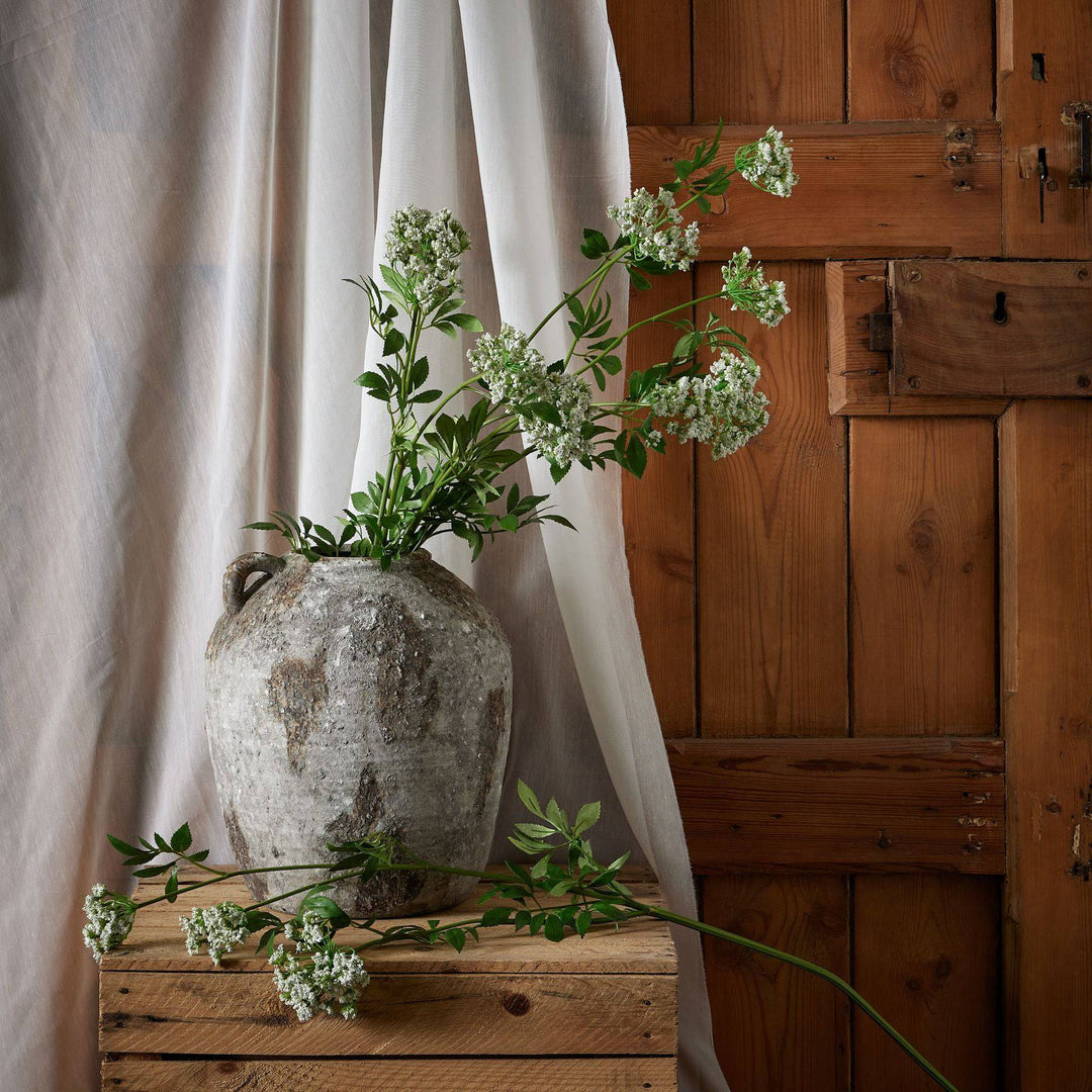 Faux White Cow Parsley Ammi - TidySpaces