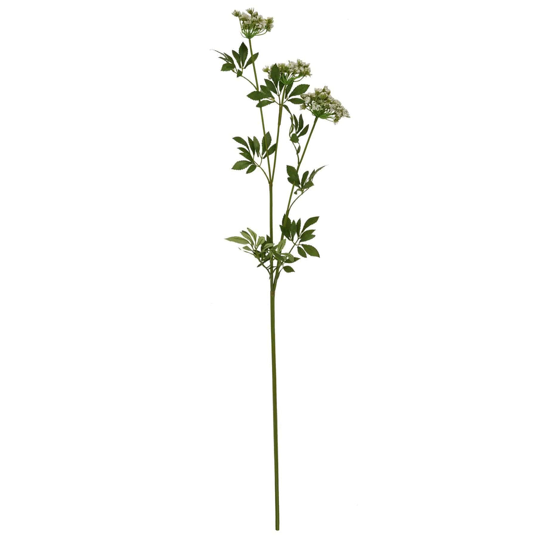 Faux White Cow Parsley Ammi - TidySpaces