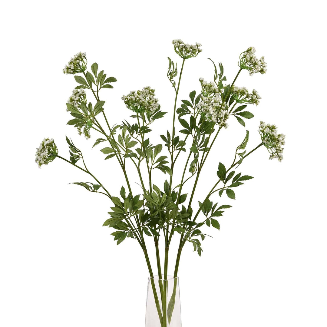 Faux White Cow Parsley Ammi - TidySpaces