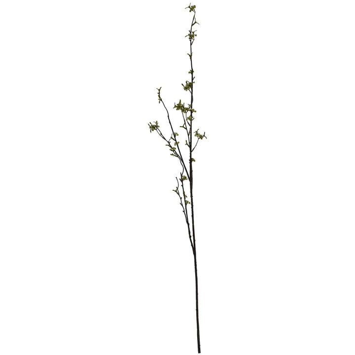 Green Berry Willow Stem - TidySpaces