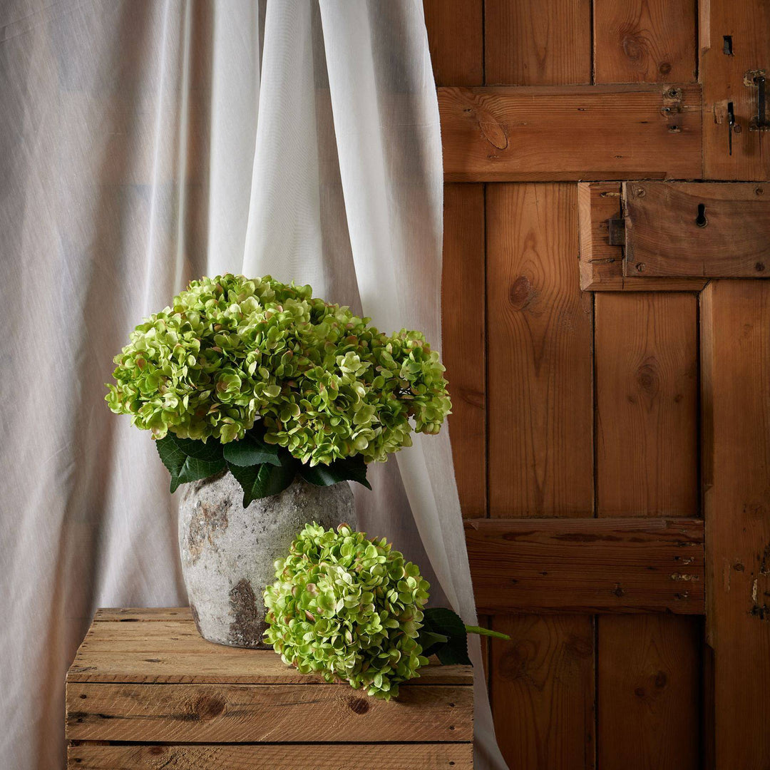 Green Hydrangea Bunch - TidySpaces