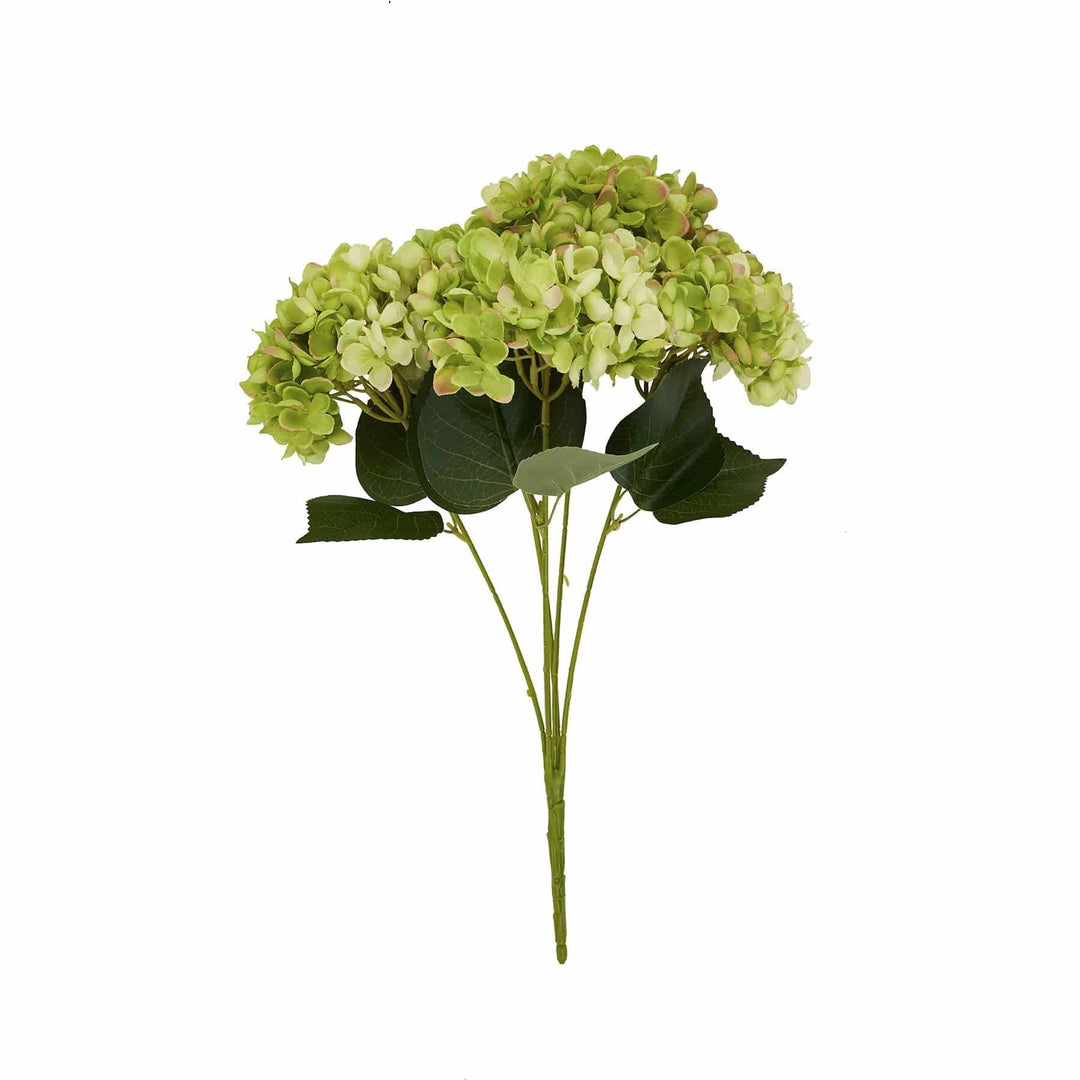 Green Hydrangea Bunch - TidySpaces