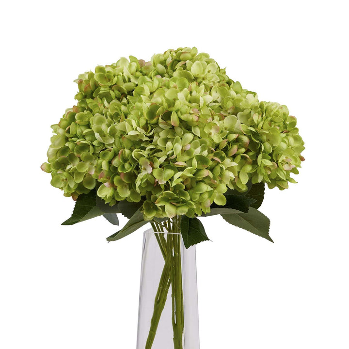 Green Hydrangea Bunch - TidySpaces