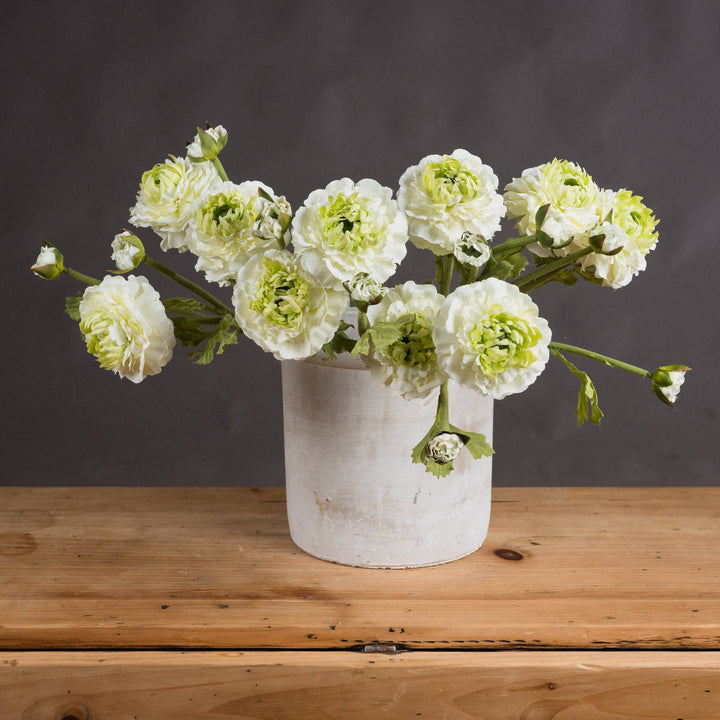 Green Ranunculus Spray - TidySpaces