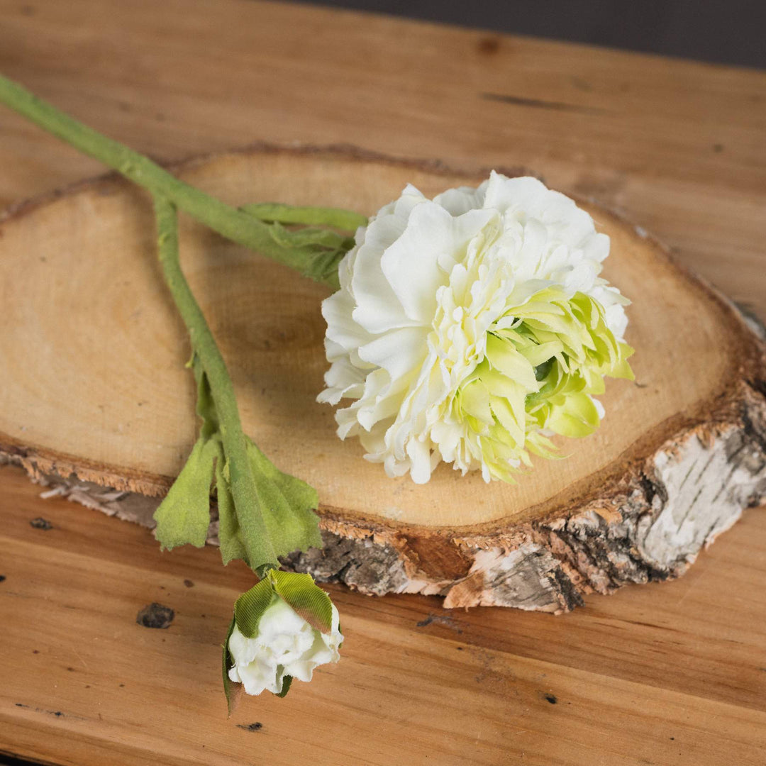 Green Ranunculus Spray - TidySpaces