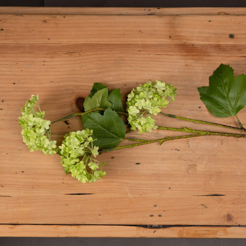 Green Viburnum Spray - TidySpaces