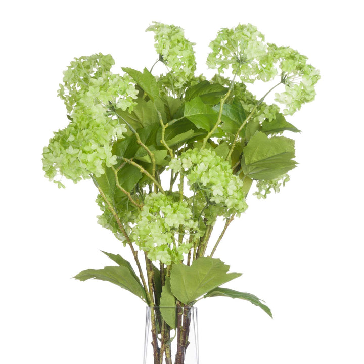 Green Viburnum Spray - TidySpaces