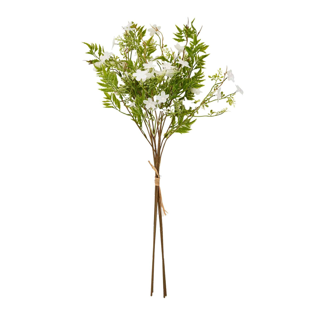 Italian White Bellflower - TidySpaces