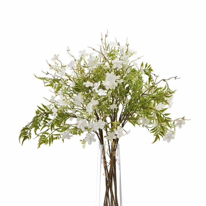 Italian White Bellflower - TidySpaces