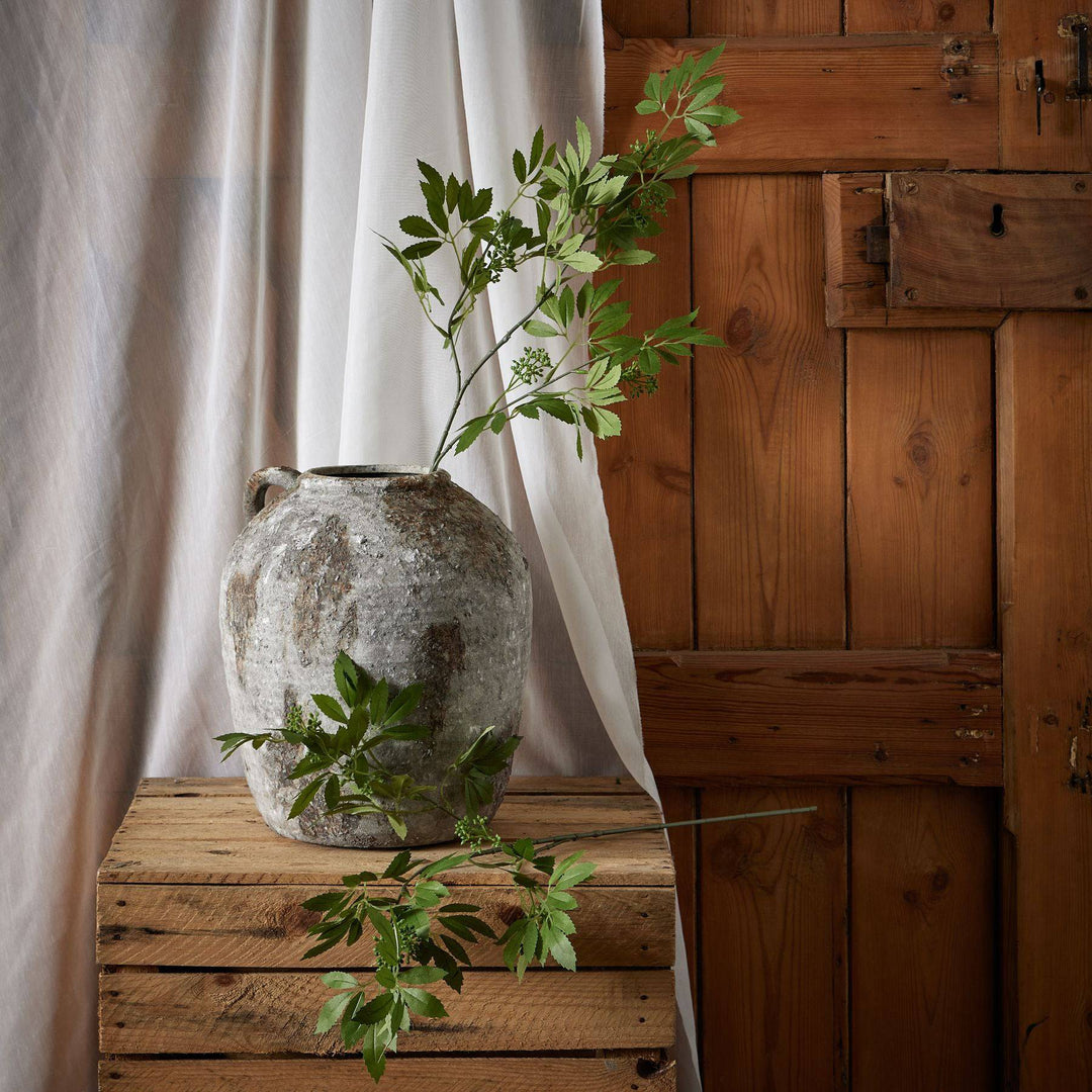 Long Fennel Stem - TidySpaces