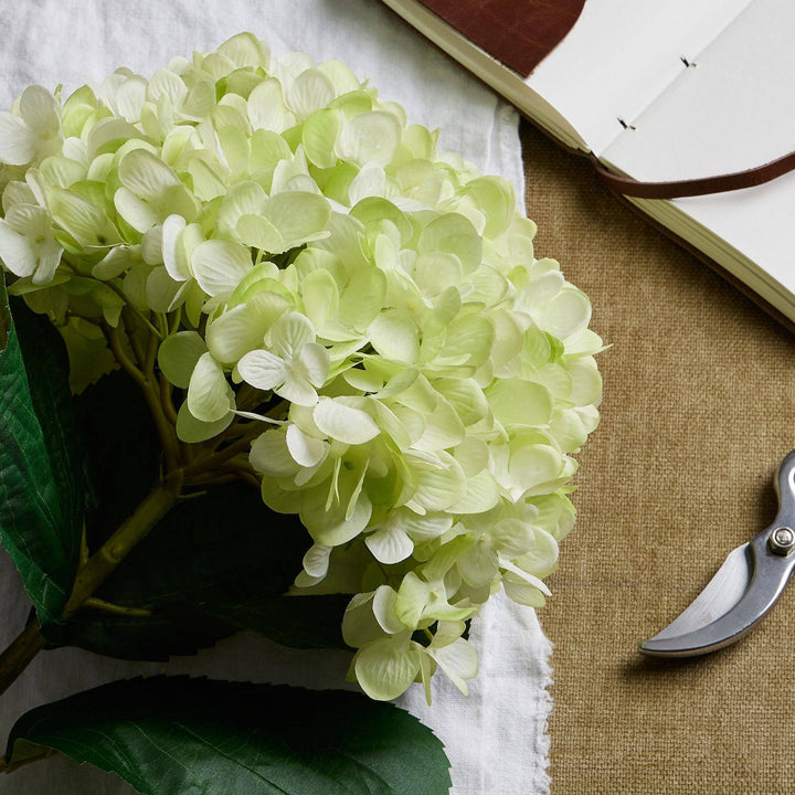 Oversized Green Hydrangea - TidySpaces